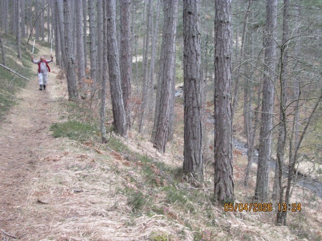 Pored Šljivovačkog potoka.