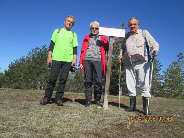 Vrh Divizbor 997mnv.