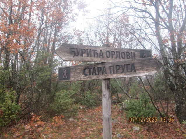 Putokaz.