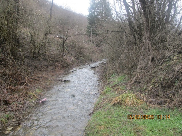 Papratiška reka.